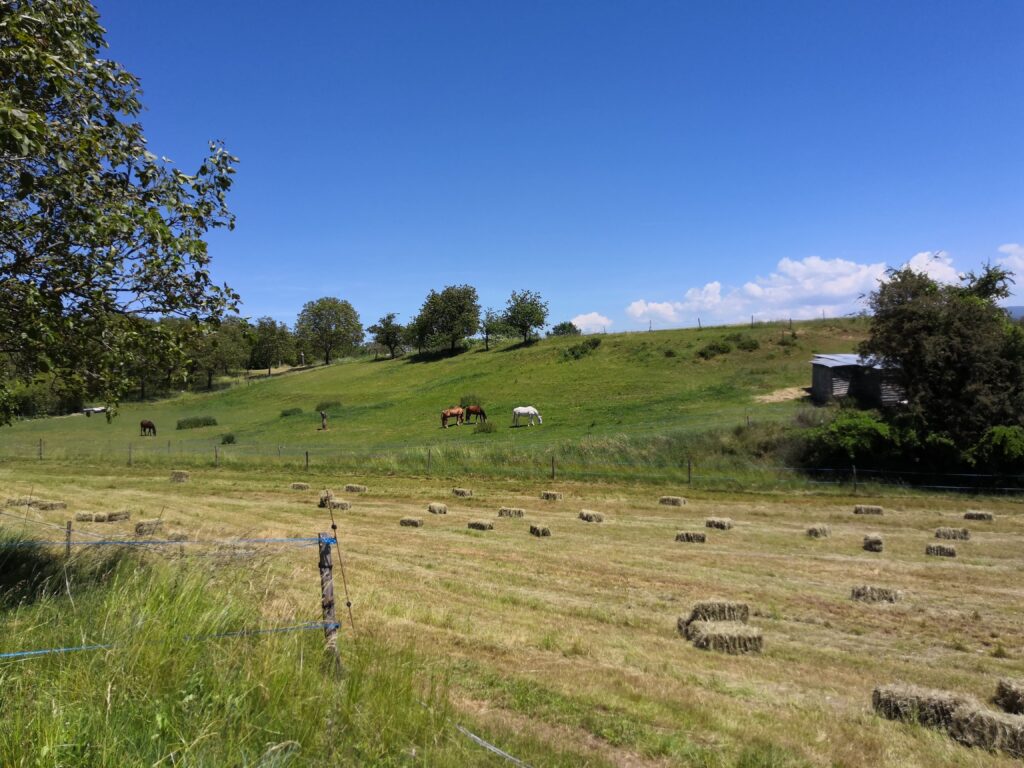 ferme fleurelles