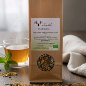 tisane-digestive-epicee